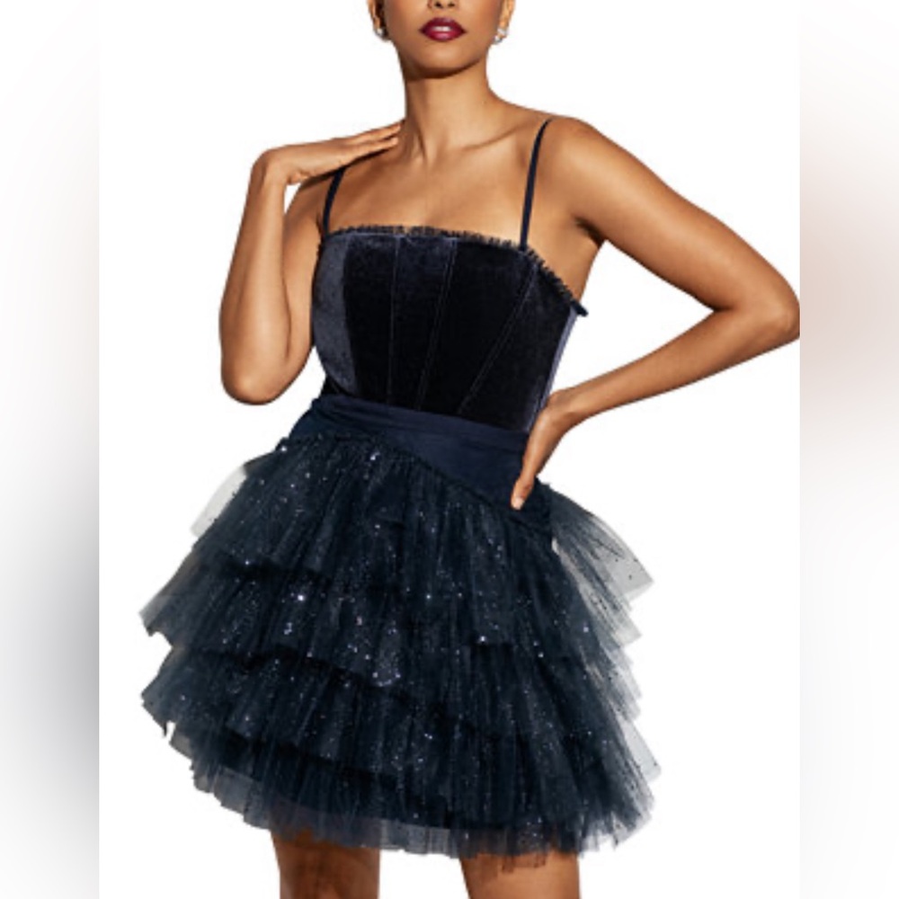 NWT Betsy & Adam Women's Fit & Flare Glitter Tulle Dress Size 4 $228